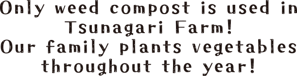 Only weed compost is used in Tsunagari Farm! Our family plants vegetables throughout the year!